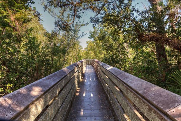 istock Blue sky and clouds over a bridge that crosses Henderson Creek 1137654419