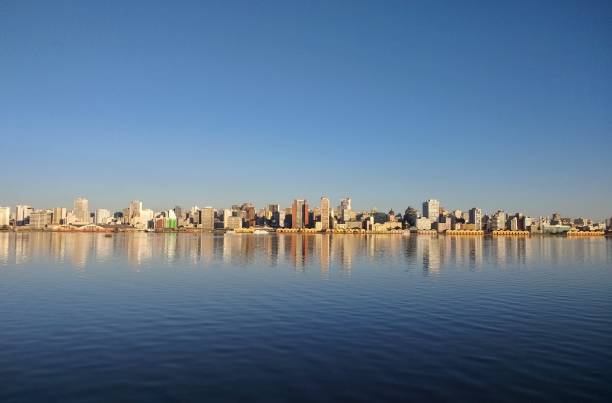 Porto Alegre Cityscape Panoramic view of Porto Alegre city from the Guaíba lake. The city is also surrounded by historical buildings and beautiful parks. porto alegre stock pictures, royalty-free photos & images