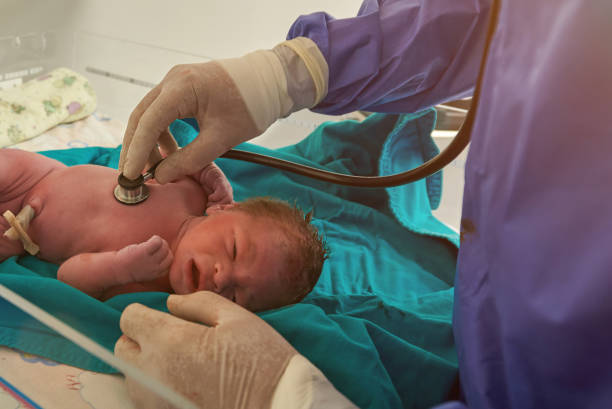 istock Examination of newborn baby 1137656629