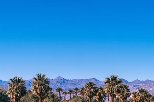 istock Desert oasis in Death Valley National Park 1137663166