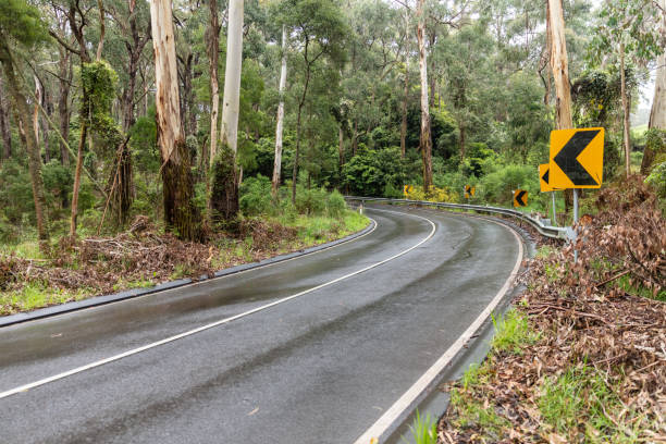 istock Empty Wet Curving Asphalt Road on a Rainy Day in Forest 1137675795