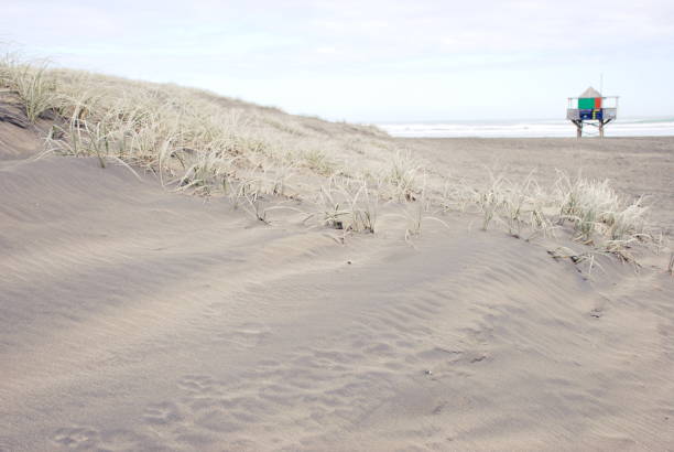 Looking out through Marram Grass on Sand Dunes to a Wild Remote Beach with Distant Surf Rescue Shack.