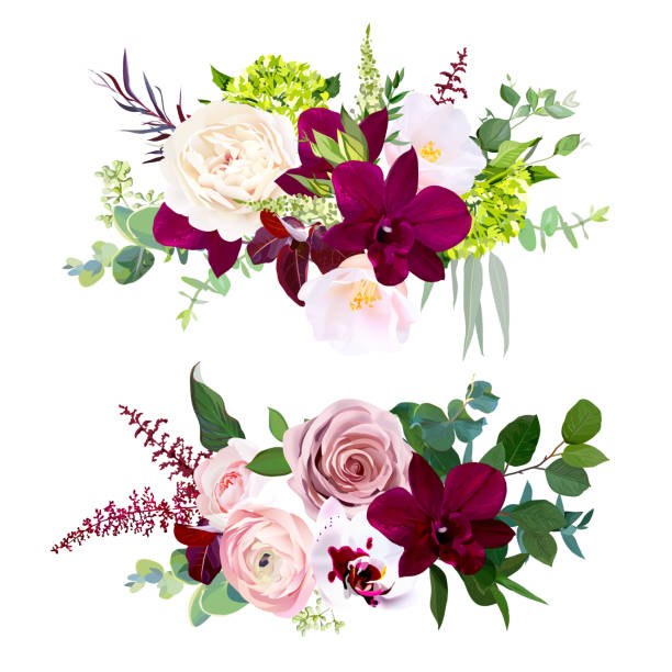 Dark and white orchid, garden dusty rose, ranunculus, pink camellia, green hydrangea Luxury fall floral vector bouquets.Dark and white orchid, garden dusty rose, ranunculus, burgundy red astilbe, pink camellia, green hydrangea and greenery.Autumn wedding flowers. Isolated and editable fall flower bouquet stock illustrations