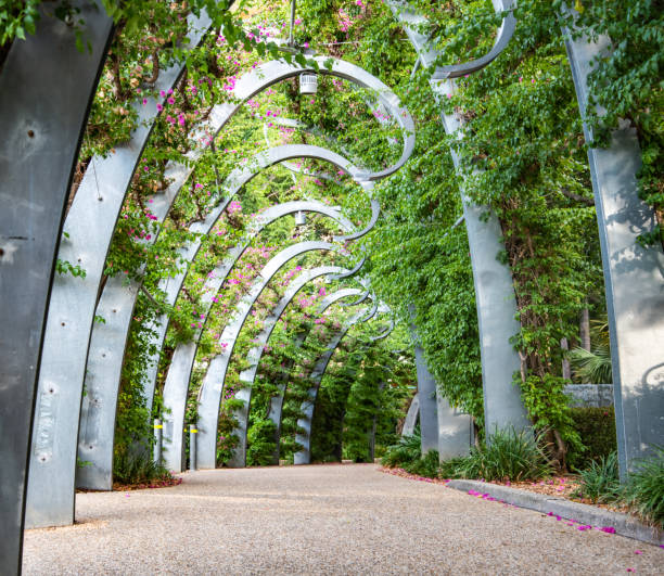 callejón peatonal con bonitas plantas verdes y postes en forma. hermosa, relajante callejón de jardín en southbank, brisbane - brisbane fotografías e imágenes de stock