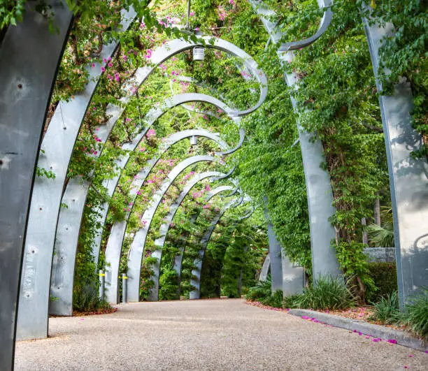 Beautiful, relaxing garden alley in Southbank, Brisbane