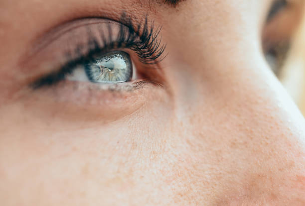 Make-up beautiful young woman's blue eyes. Beauty concept.