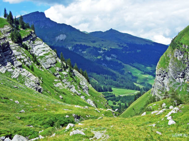 istock Alpine pastures and meadows in the Sernftal valley 1137696836