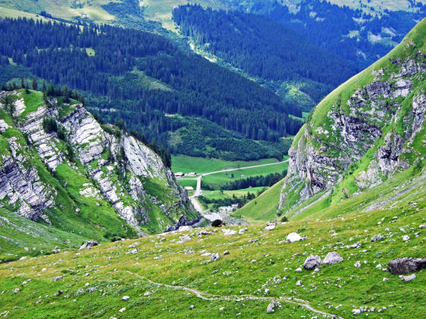 istock Alpine pastures and meadows in the Sernftal valley 1137696843
