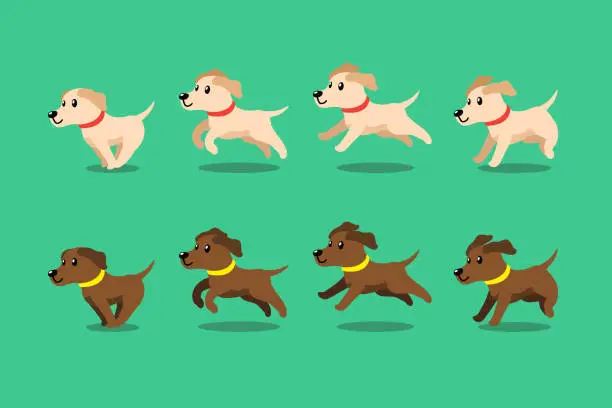 Vector illustration of Vector cartoon character labrador retriever dog running step