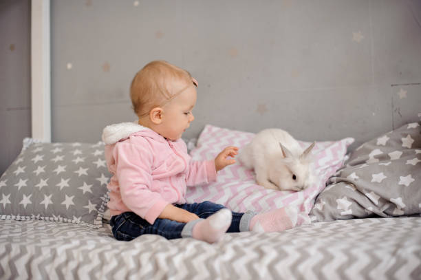 istock Cute little girl playing with white rabbit 1137700261