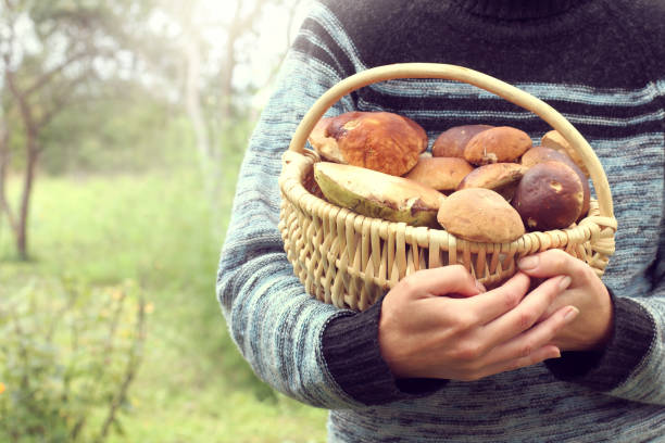 istock delicatessen food 1137719132