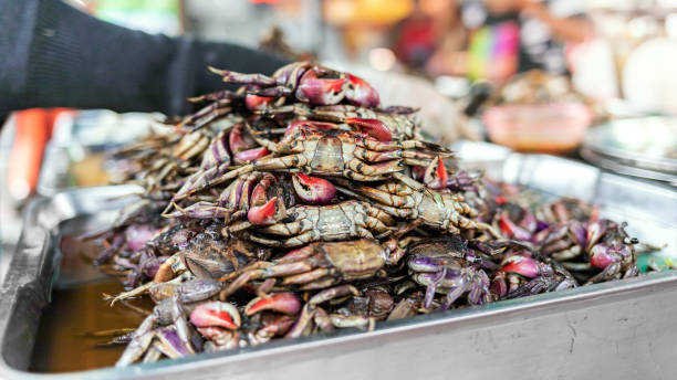 istock field crab pickled in fish sauce 1137721878