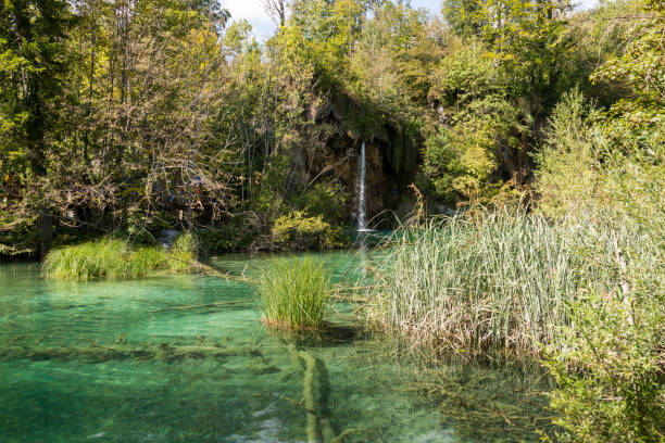 istock Two Weeks in Croatia - Plitvice Lakes National Park 1137725011