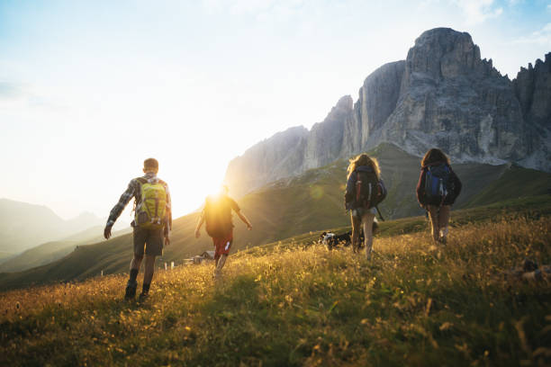 Adventures on the Dolomites: teenagers hiking with dog Adventures on the Dolomites: teenagers hiking alto adige italy photos stock pictures, royalty-free photos & images