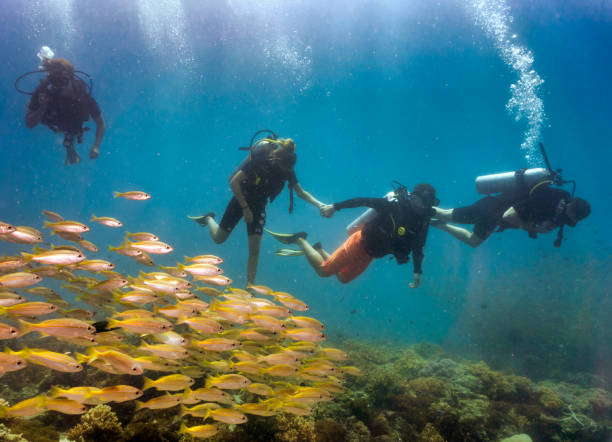 Family on vacation Scuba Diving with school of fish Bida Nok, Phi Phi Islands, Andaman sea, Thailand - July 09 2017: One Father takes his family scuba diving through a massive shoal of Bigeye Snapper Fish. The fish starburst all around as they enjoy nature. Eco tourism is now the popular responsible way to enjoy vacations. The Father guides his children by the hand into the splendour of the underwater world. Coral reefs are the one of earths most complex ecosystems, containing over 800 species of corals and one million animal and plant species. scuba diving family stock pictures, royalty-free photos & images