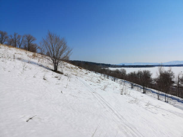 istock Winter Russian forest landscape with trees in early spring, melting snow 1137732098