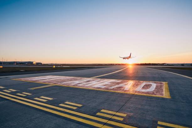 istock Airplane landing at sunset 1137732458