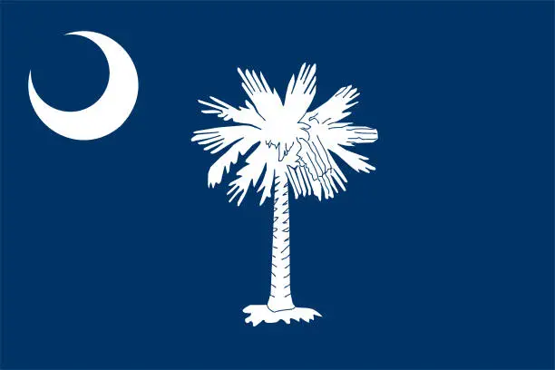 Vector illustration of South Carolina state flag vector illustration