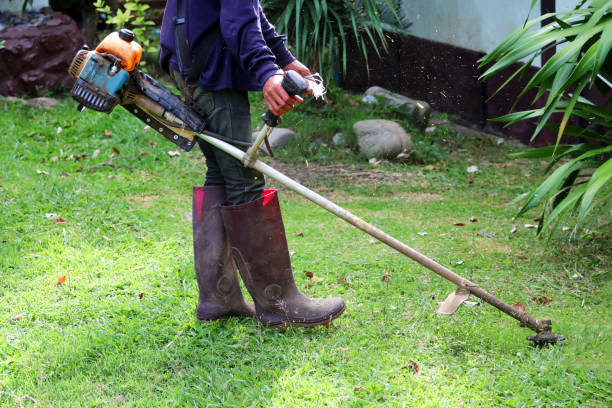 istock Asian men are using a lawn mower in the garden. 1137734859