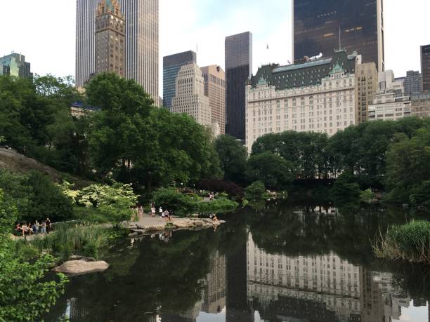 istock Beautiful day in Central Park, New York 1137736668