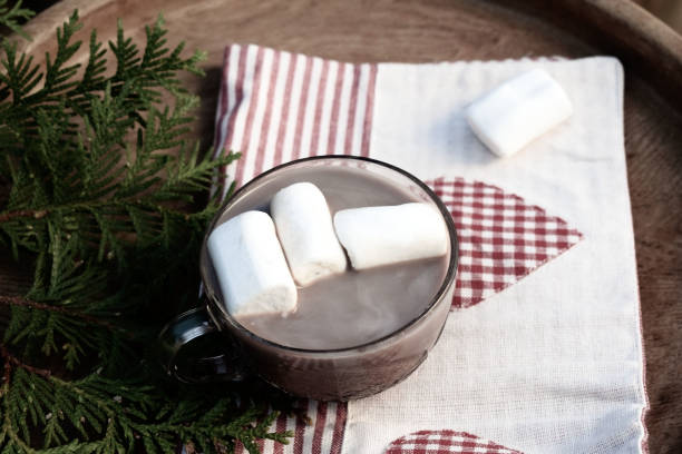 istock Wooden tray with cocoa drink and marshmallows. 1137737112