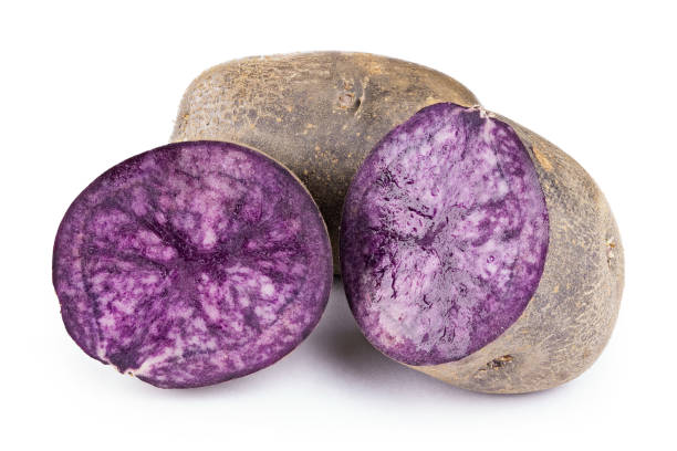 purple potato isolated on white background. stock photo