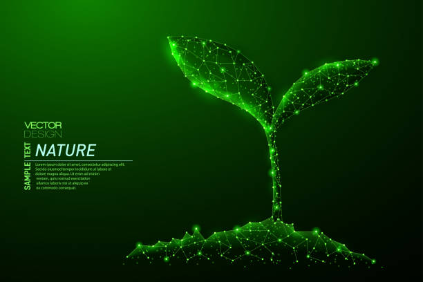 Abstract polygonal light of sprout from earth. Abstract polygonal light of sprout from earth. Business wireframe mesh spheres from flying debris. Power of nature or plant growing concept. Green structure style vector illustration. glowing leaves stock illustrations