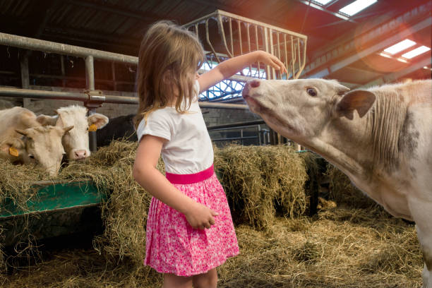 istock beautiful girl visiting a farm 1137739519