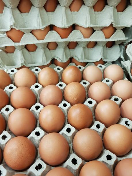 istock Organic egg in tray ready for sale.Use for website/banner background, backdrop, montage menu 1137739921