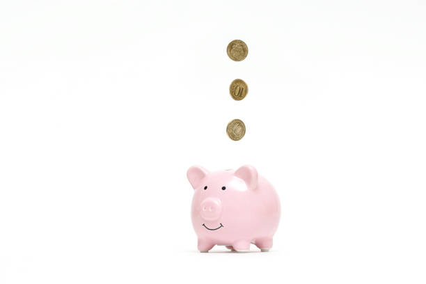 istock piggy Bank with coins on white background 1137741585