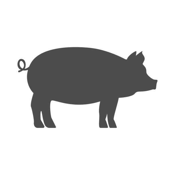 ilustraciones, imágenes clip art, dibujos animados e iconos de stock de silueta de cerdo. vector - cerdo
