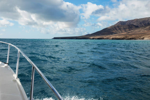 istock Fuerteventura, Canary Islands, Spain 1137744944