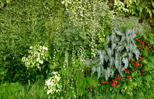 istock Wall with tropical plants. Nature green background. 1137746287