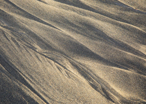 istock Sand on the beach texture for summer background 1137748872
