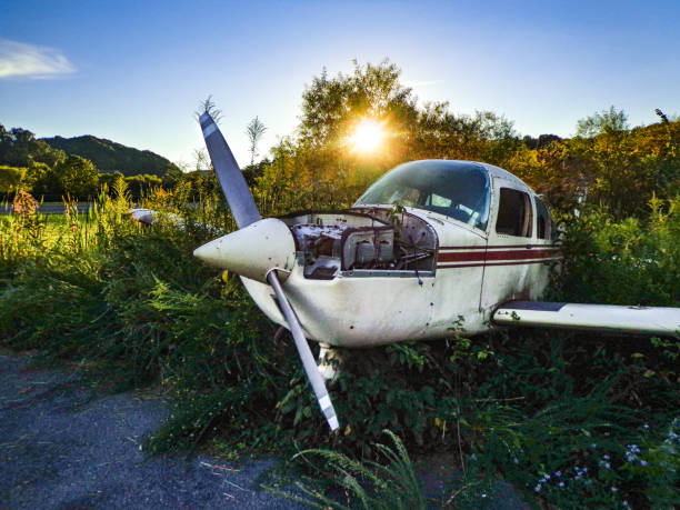 istock Old Abandoned Propeller Aircraft in Bushes at Sunset 1137751909