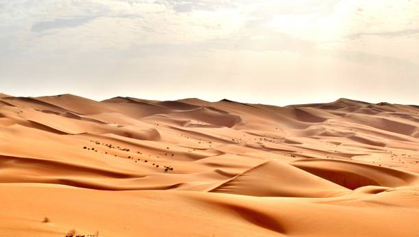 istock Arabian Desert Landscape (United Arab Emirates 1137752840