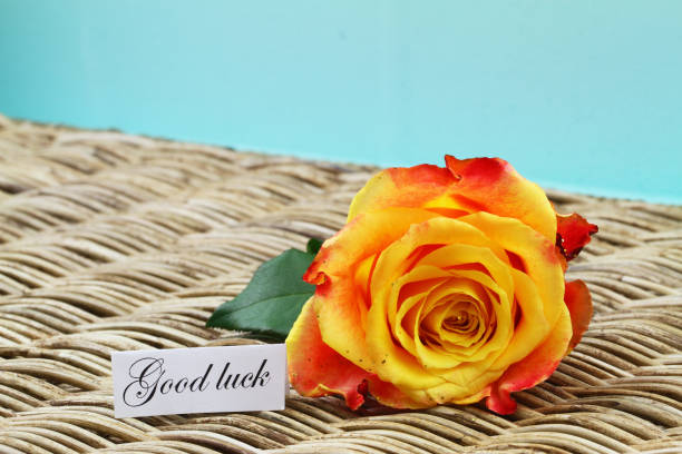 istock Good luck card with one orange rose covered with glitter on wicker surface 1137753274