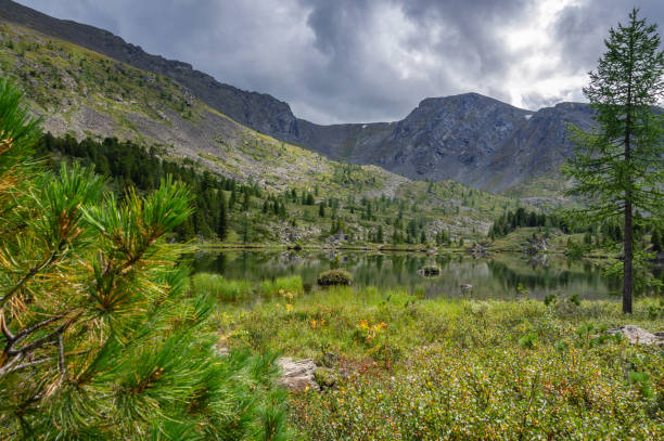istock Landscape in the Altai mountains in summer 1137753294