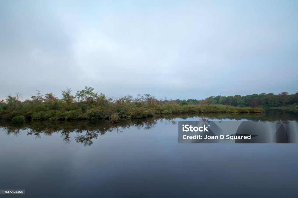 Reflective View Of The Marsh At Wertheim National Wildlife Refuge New