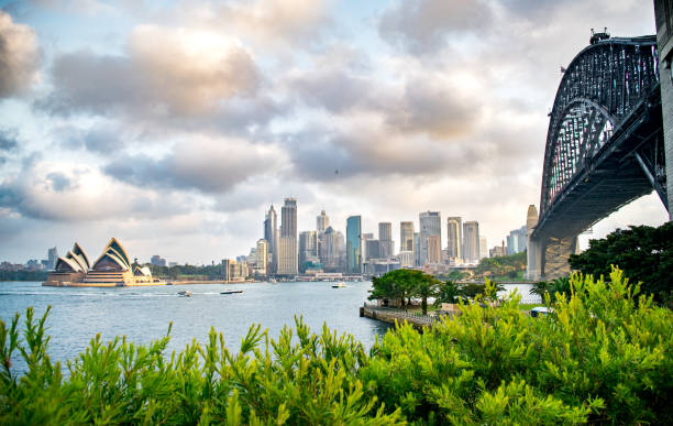 sydney cityscape - sydney australia australia sydney harbor bridge bridge fotografías e imágenes de stock