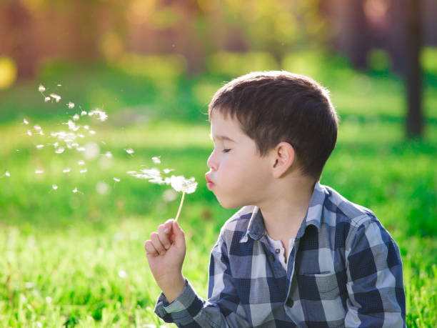 istock Face, fun, blue shirt, green background, dandelion 1137754709