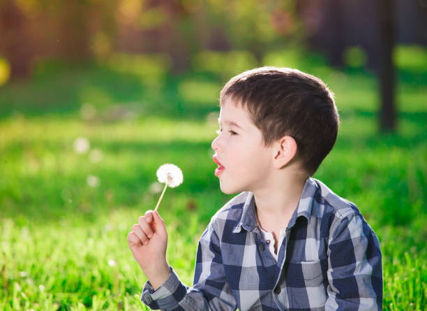 istock Face, fun, blue shirt, green background, dandelion 1137754716