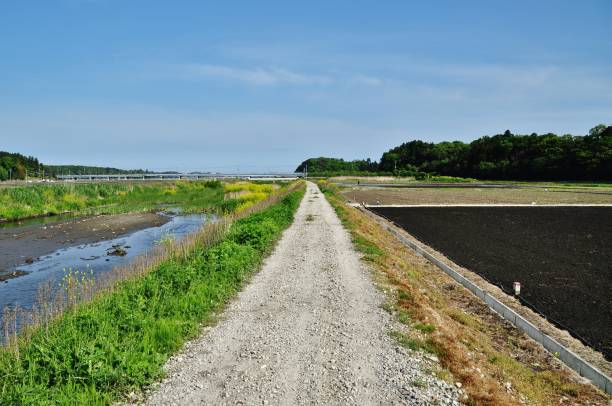 istock Gravel path in Hitachinaka City 1137754841