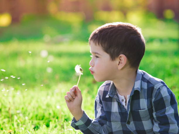 istock Face, fun, blue shirt, green background, dandelion 1137754868