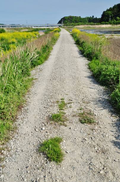 istock Gravel path in Hitachinaka City 1137755426