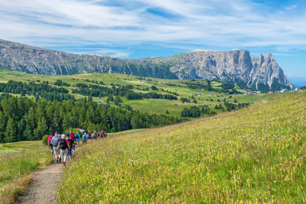istock Flowering alp meadow with mountains in background and hikers on a path 1137755872