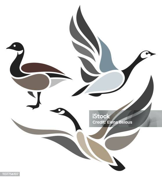 Stylized Birds Wild Geese Stock Illustration - Download Image Now - Goose - Bird, Flying, Canada Goose