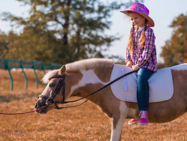 istock Pony. Landscape. Riding. Autumn. Scotland 1137758376