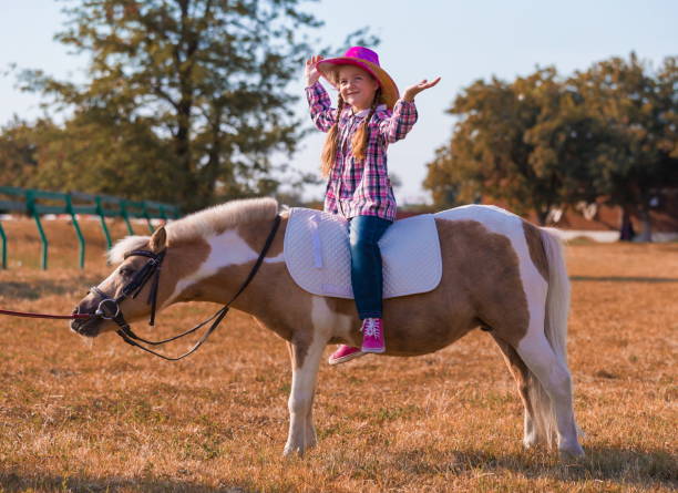 istock Pony. Landscape. Riding. Autumn. Scotland 1137758427