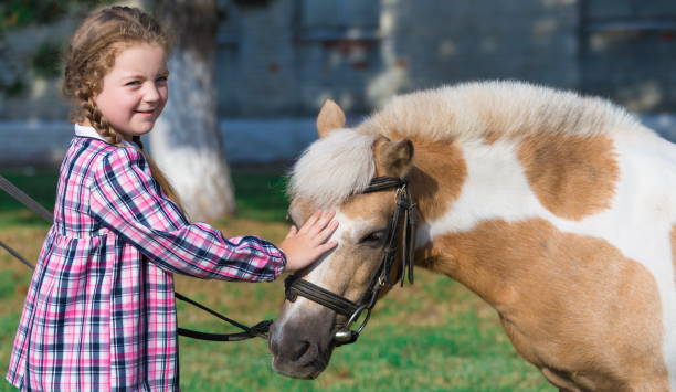 istock Pony. Face girl. Blue eyes. Close up 1137758506